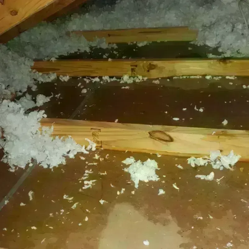 Attic Water Damage in Athens, MI